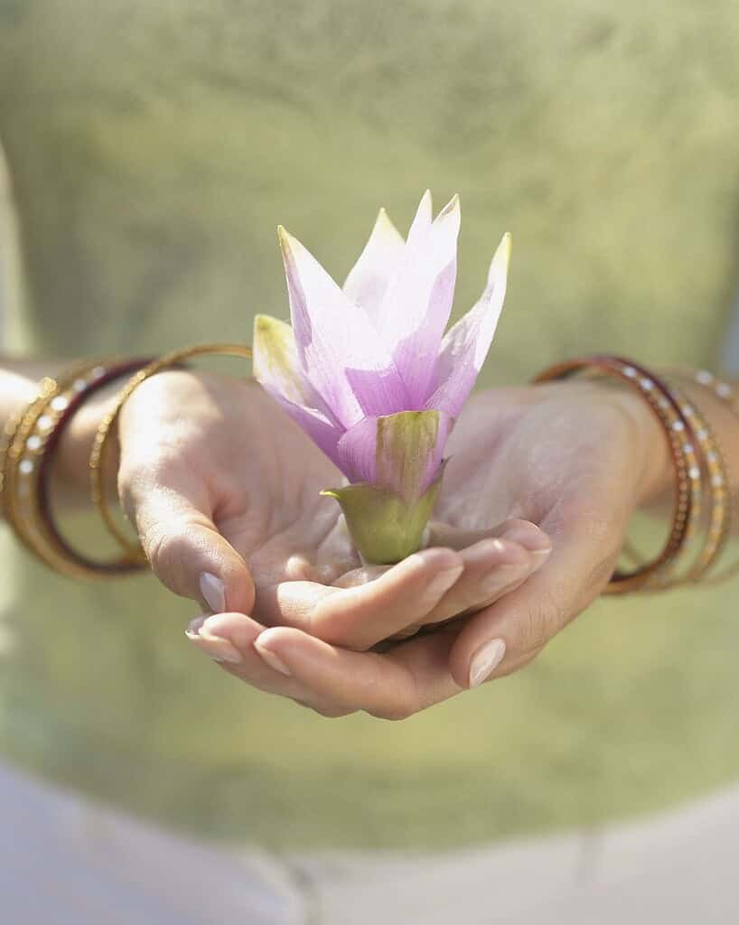 Diseno sin titulo 21